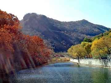 新澳门二四六天天彩，开油水